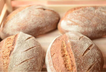 Taste of Bread